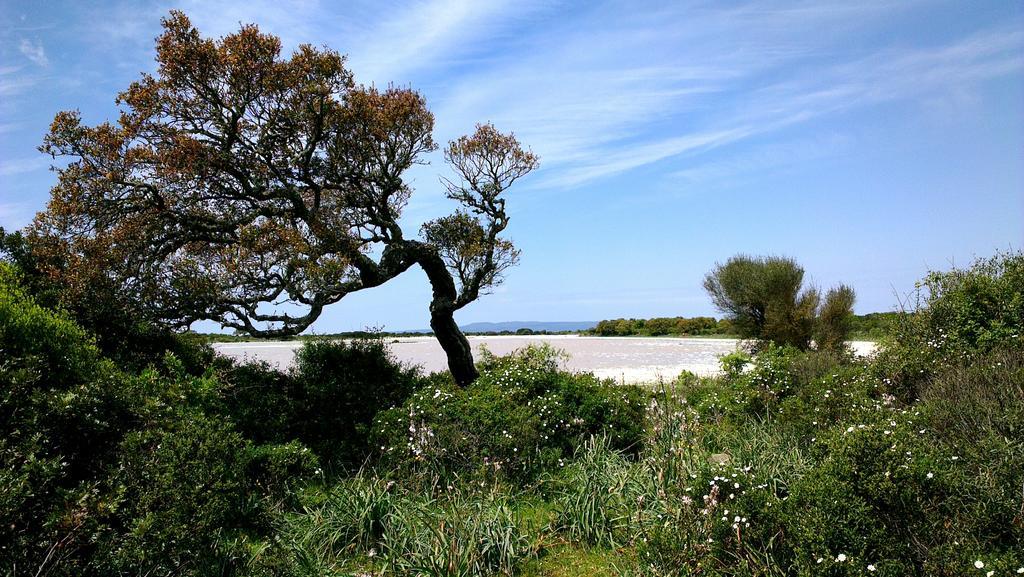 Il Borgo Dell'Arcangelo Tuili エクステリア 写真